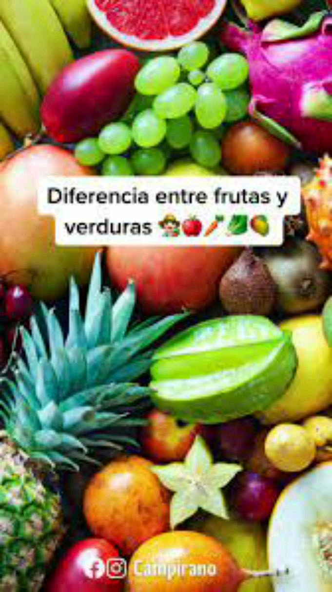 Diferencias entre frutas y verduras